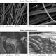 Gelatin fibers compared to rabbit skeletal muscle.